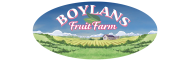 Boylans-Logo
