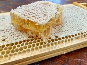 honey comb frame