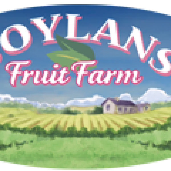 Boylans-Logo